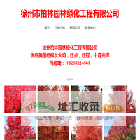 美国红枫|美国红枫价格|最新美国红枫价格|美国红枫价格2019报价|12公分美国红枫价格-徐州市柏林园林绿化工程有限公司