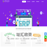 星辉信息科技-优质软件定制开发,网络营销推广服务提供商[资深团队]