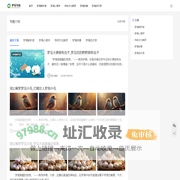 梦界导航 - 专业解梦, 精准分析梦境含义
