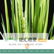 十项行动――天津市乡村振兴全面推进行动在线