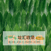 方德食品