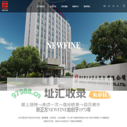 浙江新正方实业股份有限公司