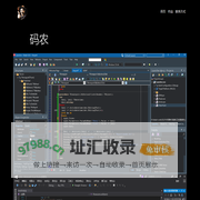 码农