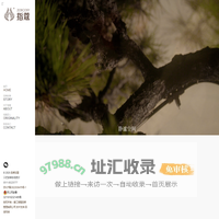指蔻