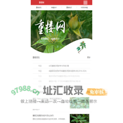 重楼