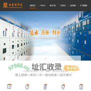 天津雷安防雷检测技术有限公司