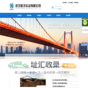 武汉能子实业有限公司