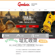鼓德温（山西）泵业有限公司