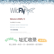 Welcome to WildFly 10