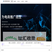 福州飘雪网络科技有限公司 - 福州飘雪网络科技有限公司