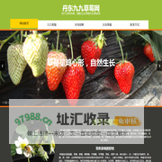 丹东99草莓网-丹东特产网
