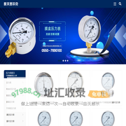 不锈钢耐震隔膜膜盒电接点压力表-皖天图尔克