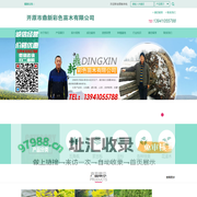 开原市鼎新彩色苗木有限公司