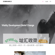 武汉博闻科技