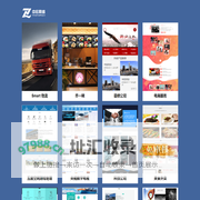中宏网络 - 案例展示