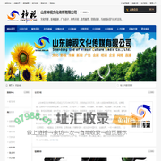 山东神视文化传媒有限公司
