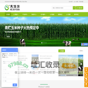 青贮玉米牛必乐_牛羊爱吃好饲草_认准禾佳源_北京禾佳源农业科技股份有限公司