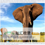 8k8k手游网-专注重度手游下载门户资源网站