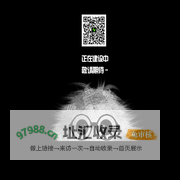 迷笛音乐节