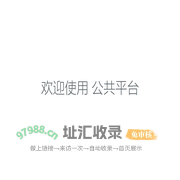 公共平台