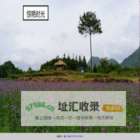 川图网-川图在线-川图新媒体—川图新商业