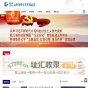山东鲁泰化学有限公司