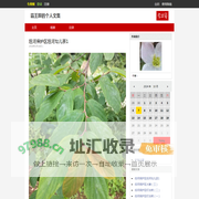 霸王醉的个人文集