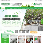 育苗袋|育苗袋厂家_无纺布育苗袋厂_育苗无纺布|营养袋厂_无纺布营养袋-明星无纺布育苗袋厂