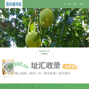 重庆睿泽城电子商务有限公司