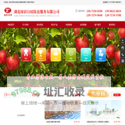 湖北同彩白蚁防治服务有限公司