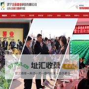 红薯苗_甘薯苗_地瓜苗_紫薯苗-济宁金藤薯业科技有限公司