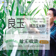 丹东良玉种业有限公司-玉米种子|良玉种业|良玉