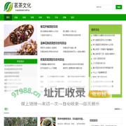 茗茶文化网-一个专业的茶知识分享平台