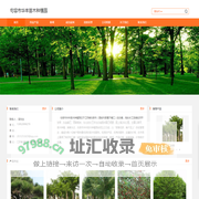 镇江句容苗木批发_句容草坪批发-句容市华丰苗木种植园