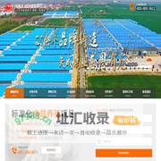 种鸽-肉鸽-天成鸽业养殖基地