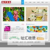春天食品