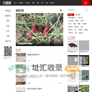 一起钓鱼吧 - 分享钓鱼技巧和知识！