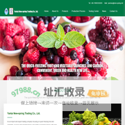 Yantai New-spring Trading Co., Ltd._Quick frozen vegetable,Quick frozen fruit,Vacuum frying food,Quick frozen roasted vegetable