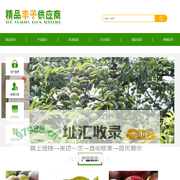 精品李子供应商