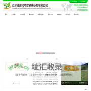 辽宁佳园软枣猕猴桃研发有限公司-软枣子苗，软枣子猕猴桃苗,软枣猕猴桃苗,软枣猕猴桃,奇异莓,奇异莓苗