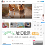 毕业论文下载,本科研究生论文范文下载网