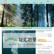 上海耶临PAPTIC TRINGA,PAPTIC STERNA,PAPTIC PERDIX木质纤维基生物降解环保材料