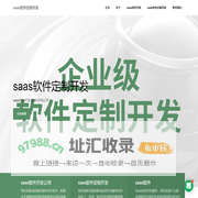 saas软件开发-定制-外包公司