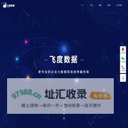 飞度数据-高匿代理ip-在线代理服务器-飞度代理
