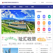 攀钢供应链智助服务平台
