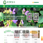 丹参苗,丹参种子,丹参种苗,航天丹参,菏泽丹参苗,丹参种植基地,菏泽市丹参研究所