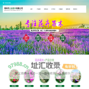 时令草花和宿根花卉以及绿化苗木基地-青州市土金苗木有限公司