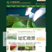 宜兴永和龙脑香树,龙脑樟树:宜兴市永和龙脑香树种植科技有限公司