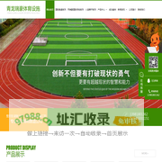 成都塑胶跑道施工_成都塑胶球场工程_成都人造草坪公司_成都健身器材-成都青龙瑞豪体育设施工程有限公司