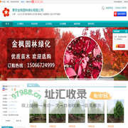 火焰南天竹_美国红点红枫_美国红火箭紫薇_[厂家、价格]_泰安金枫园林绿化有限公司_天助网
